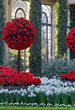 conservatory8_75.jpg
