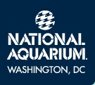 dc aqua.jpg