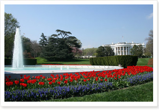 rose garden.jpg