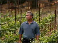LOBO Wines of  Napa Valley Delivers Award Winning Cabernet at Reasonable Price