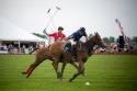 a polo.jpg