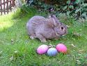 easter.jpg