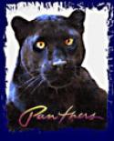 pantherfinal_tn[1].jpg