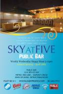 skyatfive_dcwebflyer.jpg