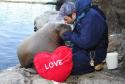 walrus baby and paulie kiss w pillow hires.JPG