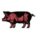 a spotted pig.jpg