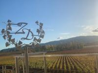 ZD Wines Serves Award Winning Wines & Remarkable Views