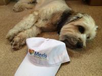 Bring Your Best Buddy To Bethany Beach at Meris Gardens B&B