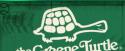 a greene turtle.jpg