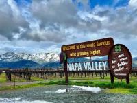 Premiere Napa Valley 2023 is a grand Vintners Tasting and Auction success